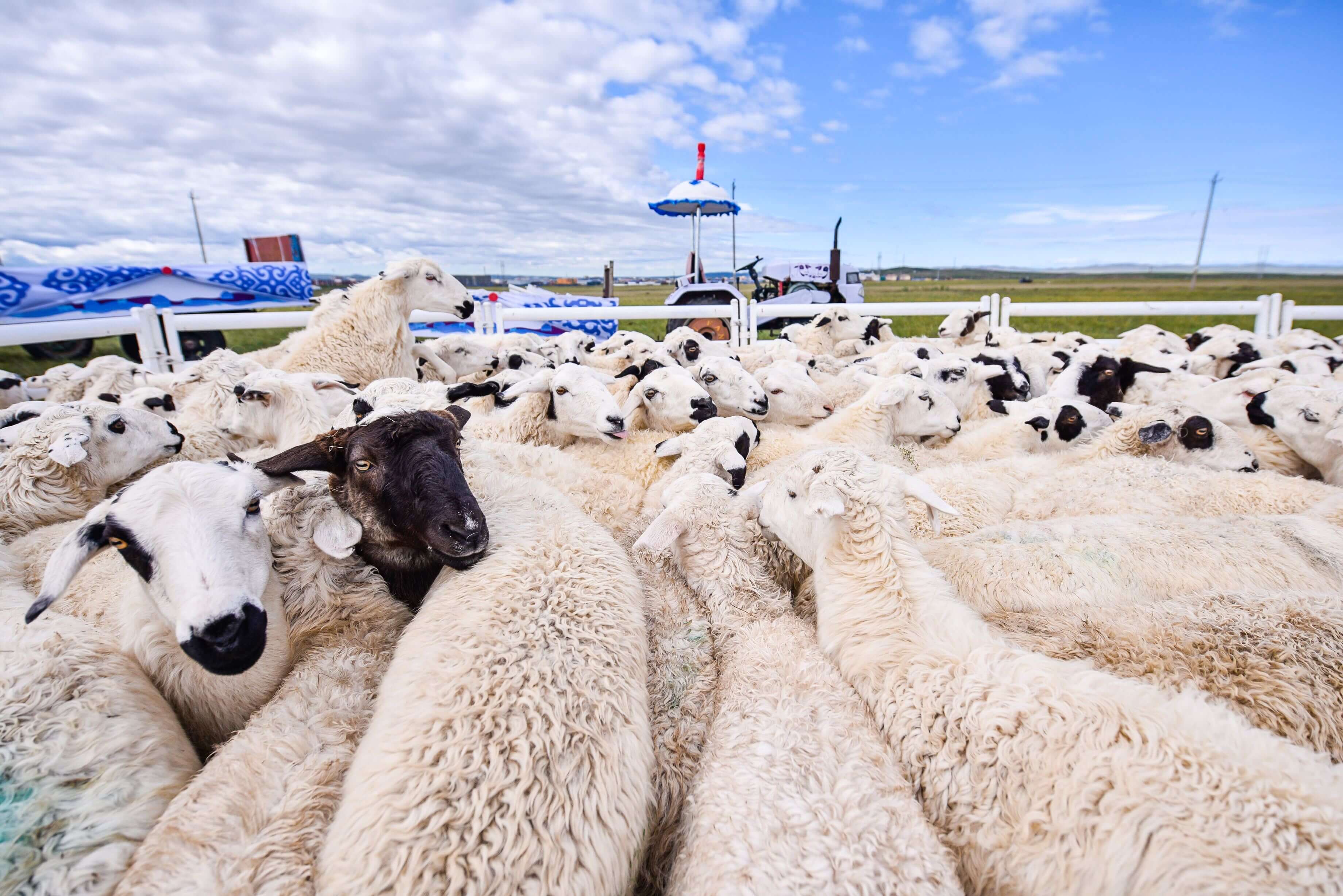 如何鉴别投资白银的真假