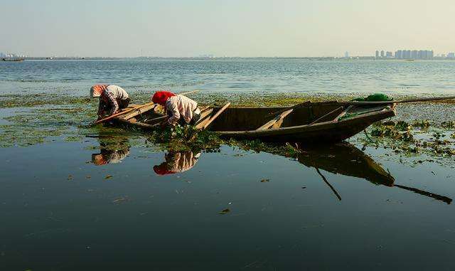 现货黄金怎样算盈利
